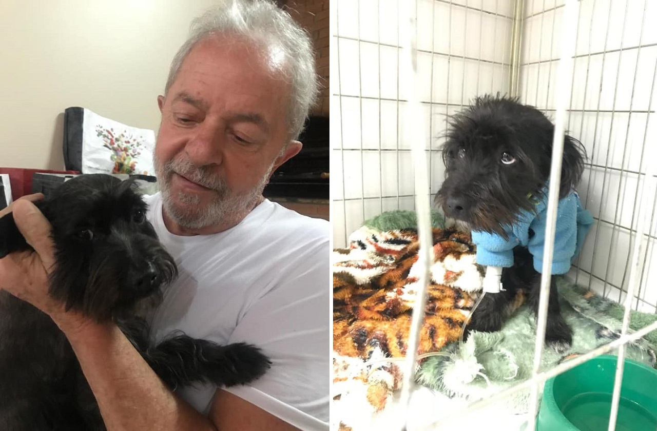 Lula e Resistência