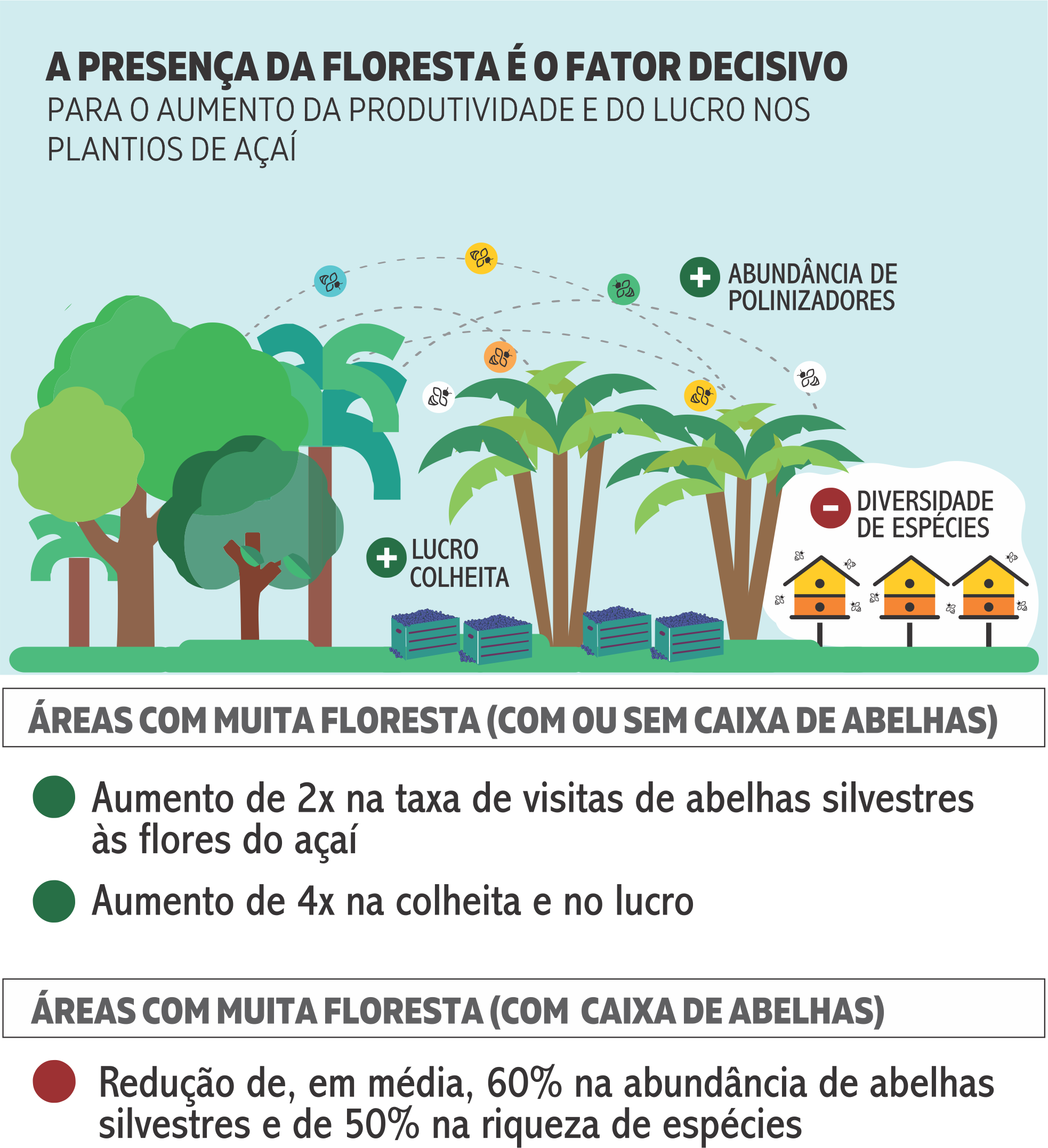 Presença da floresta