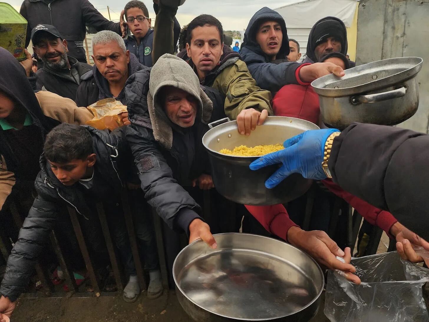 gaza-fome
