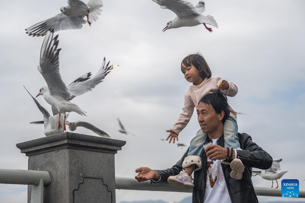 Xinhua/Wang Guansen