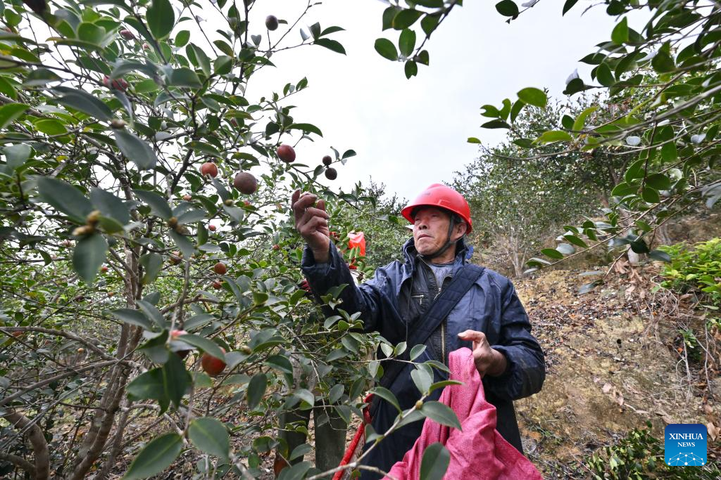 Xinhua/Jiang Kehong