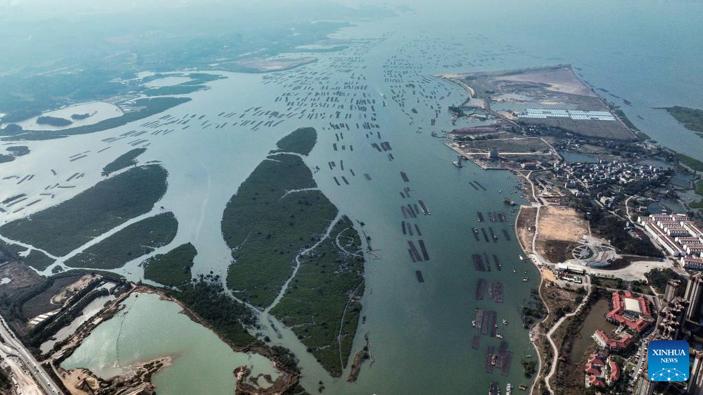 Xinhua/Zhang Ailin