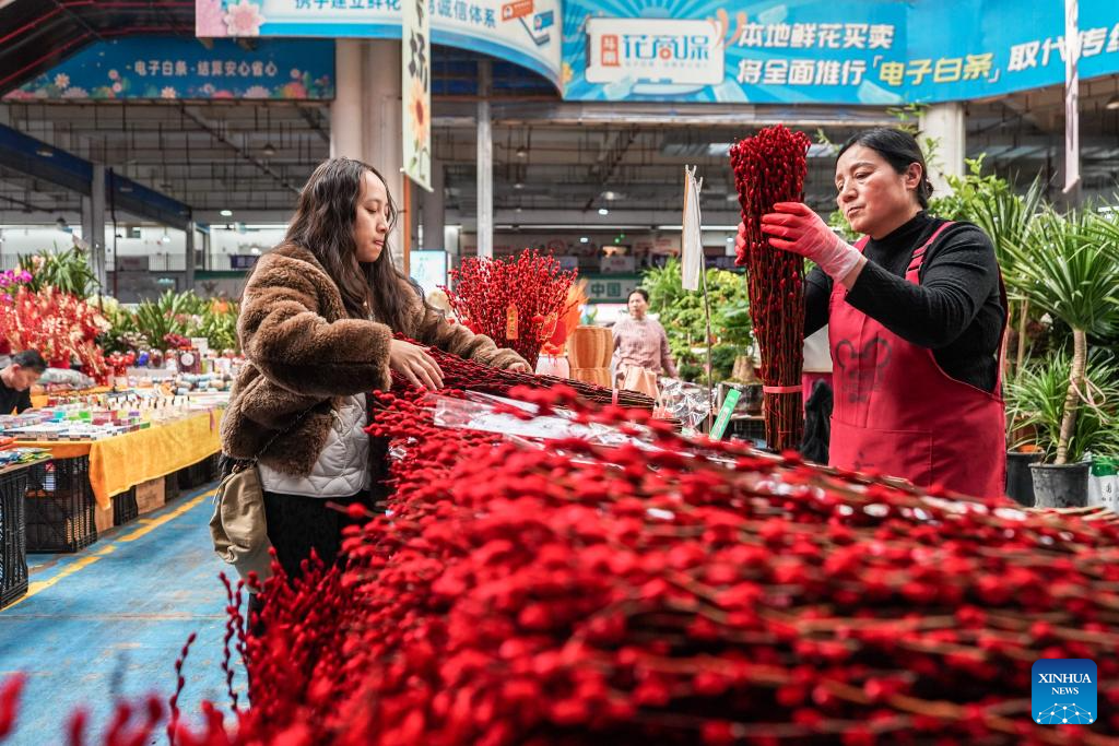 Xinhua/Peng Yikai