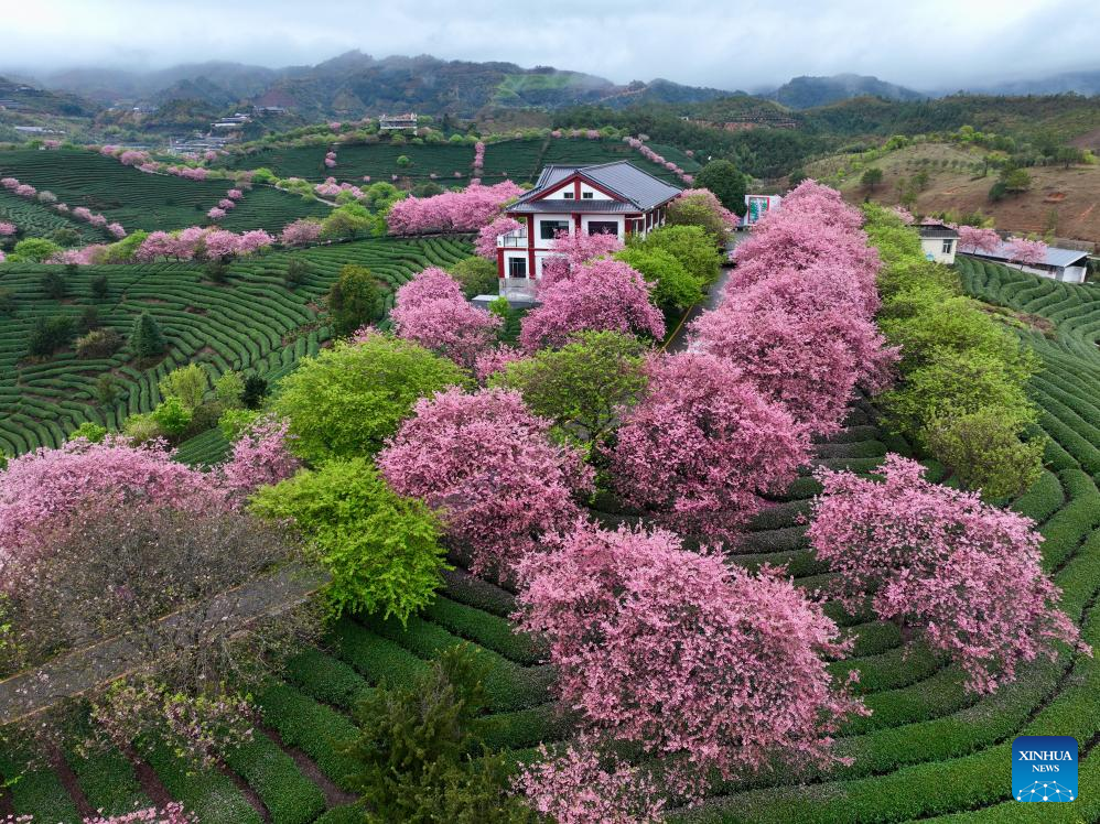 Xinhua/Jiang Kehong
