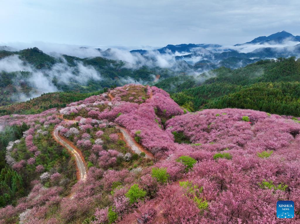Xinhua/Jiang Kehong