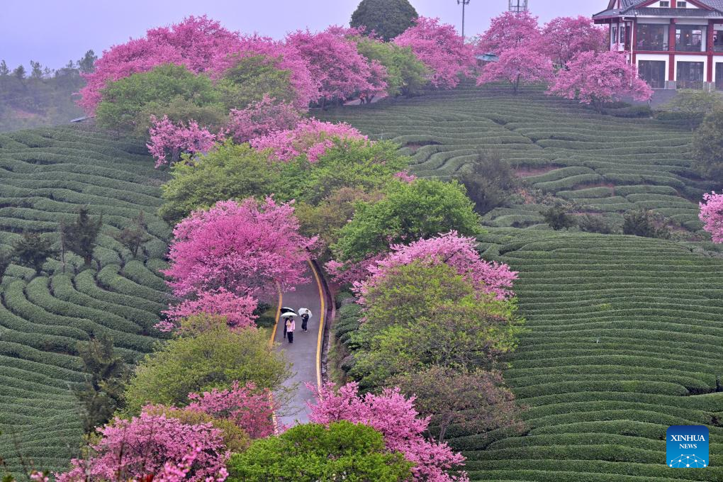 Xinhua/Jiang Kehong
