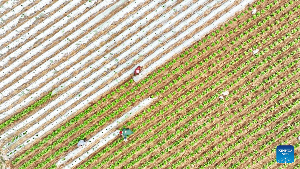 Foto de Zhang Chunlei/Xinhua