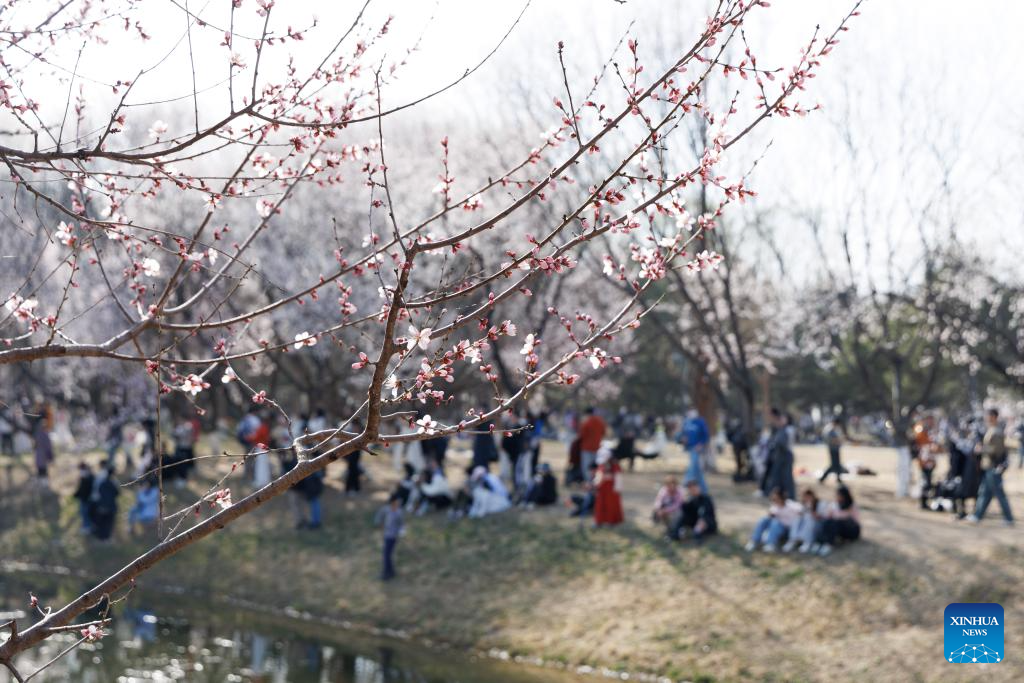 Xinhua/Jin Liwang