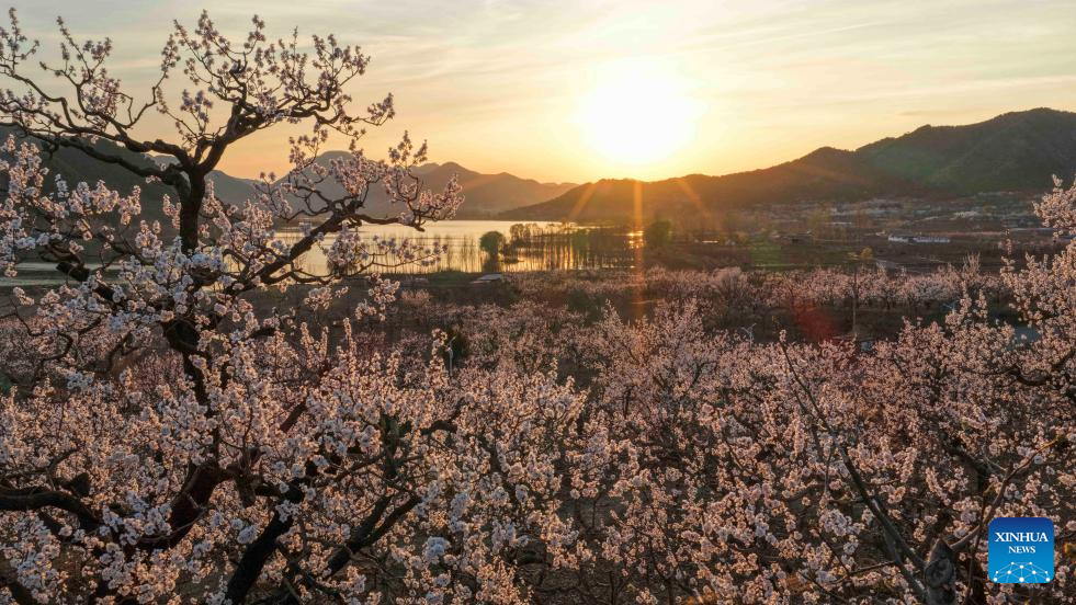 Foto de Liu Mancang/Xinhua