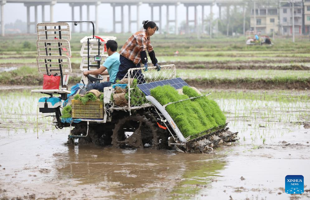 Foto de He Hongfu/Xinhua