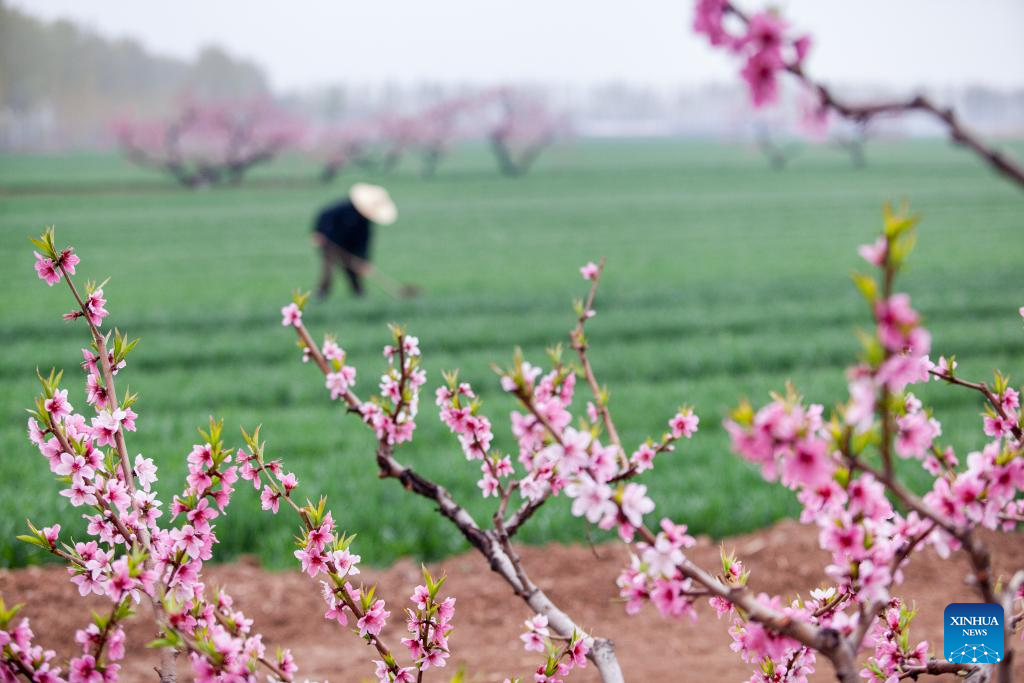 Foto de Zhang Weitang/Xinhua