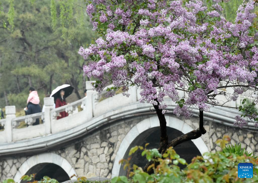 Xinhua/Luo Xiaoguang