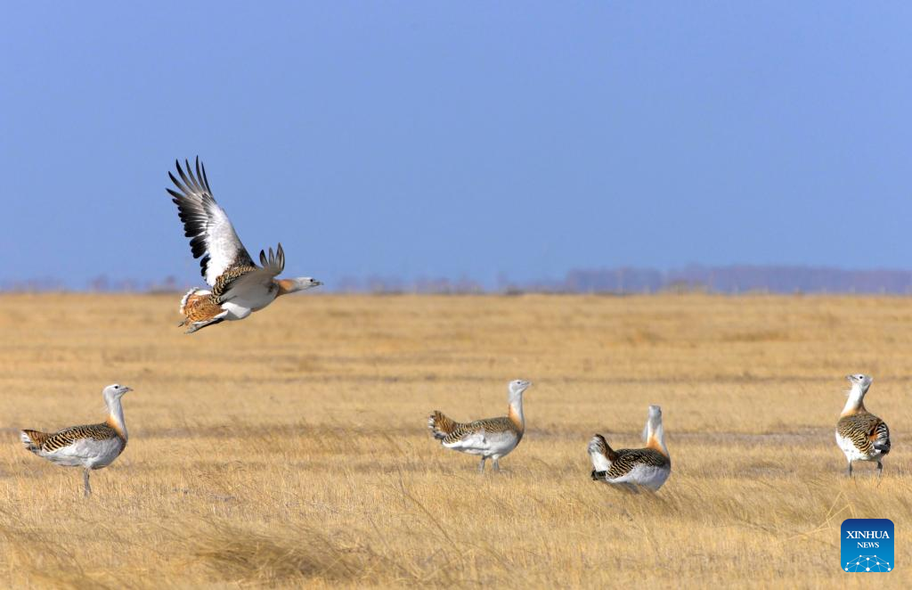 Foto de Wang Yonggang/Xinhua