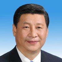 Xi Jinping avatar