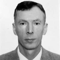 Wilson Luiz Muller avatar